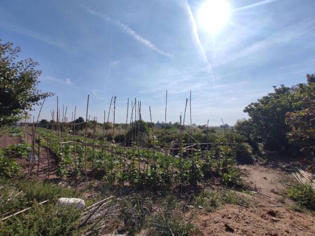 Terreno en venta en Comarca de València, Valencia