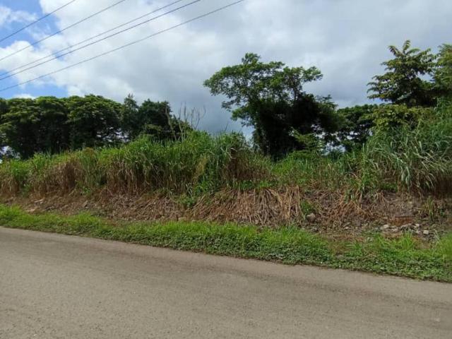 Terreno en venta en Valencia, Táchira