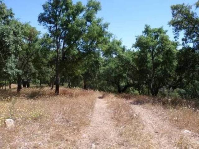 Terreno en venta en Valencia De Alcántara, Extremadura