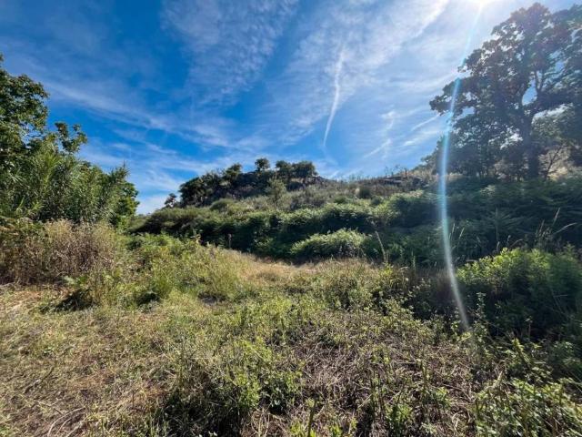 Terreno en venta en Valencia De Alcántara, Extremadura