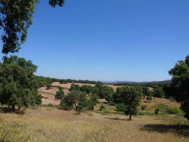Terreno en venta en Valencia De Alcántara, Extremadura