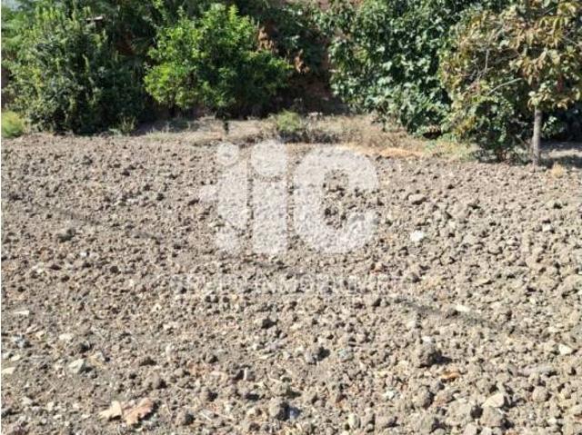 Terreno en venta en Valenzuela, Andalucía