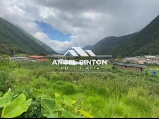 Terreno en venta en Valera, Trujillo