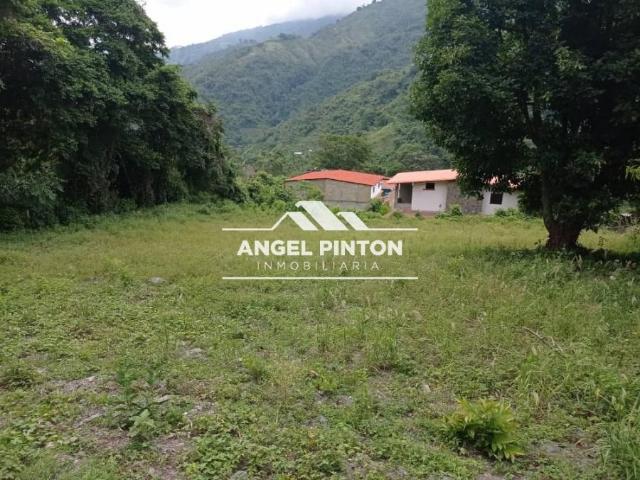 Terreno en venta en Valera, Trujillo