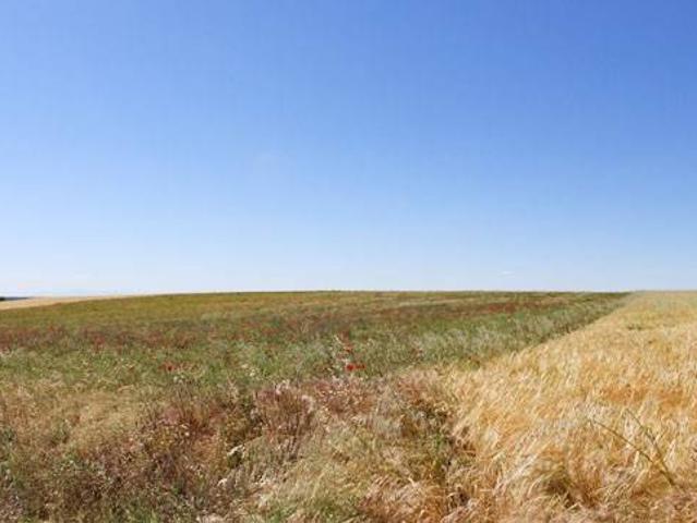 Terreno en venta en Valfermoso De Tajuña