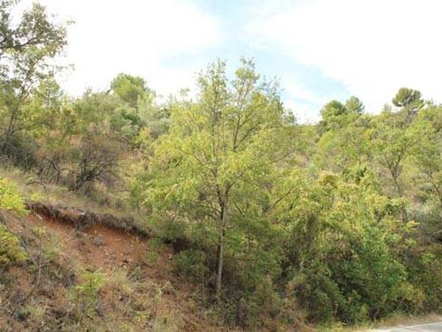 Terreno en venta en Valfermoso De Tajuña