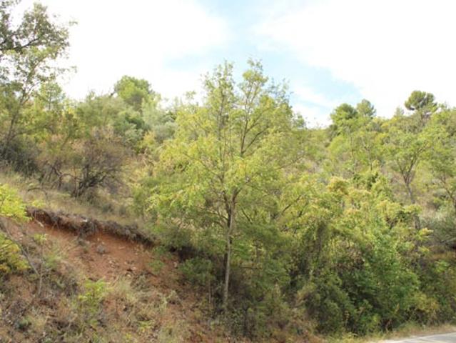 Terreno en venta en Valfermoso De Tajuña, Castilla-La Mancha