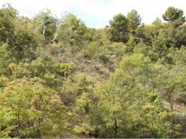 Terreno en venta en Valfermoso De Tajuña, Castilla-La Mancha