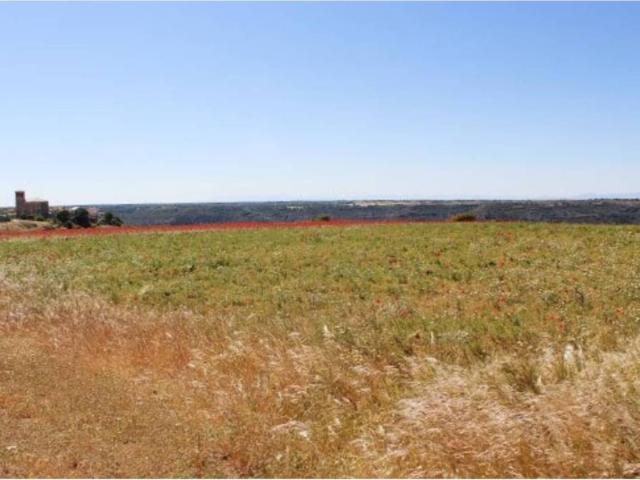 Terreno en venta en Valfermoso De Tajuña, Castilla-La Mancha