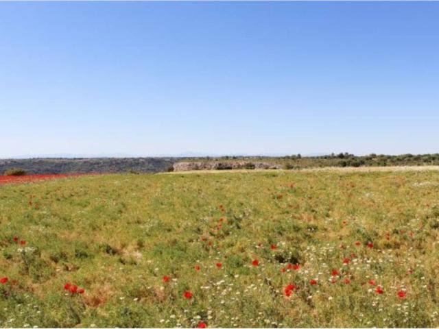 Terreno en venta en Valfermoso De Tajuña, Castilla-La Mancha