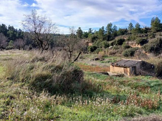 Terreno en venta en Matarraña / Matarranya, Valjunquera