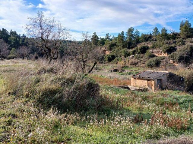 Terreno en venta en Matarraña / Matarranya, Valjunquera