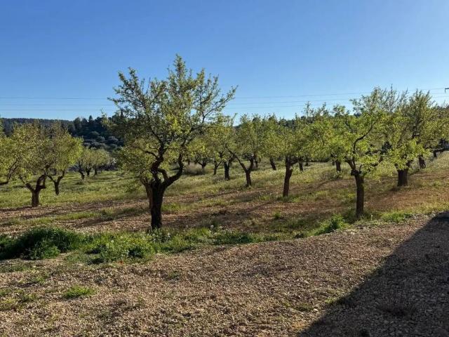 Terreno en venta en Matarraña / Matarranya, Valjunquera