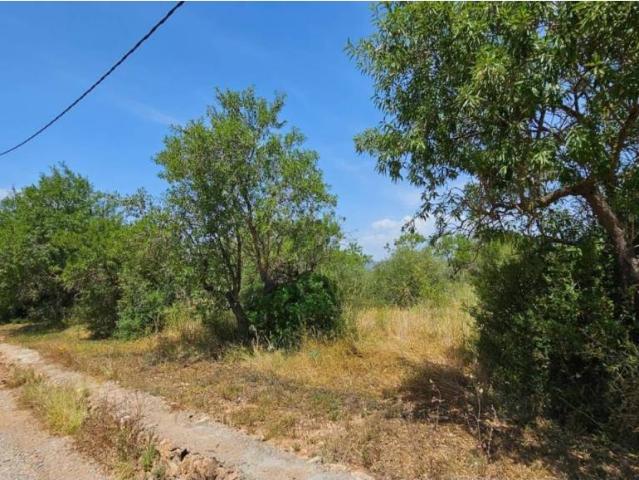 Terreno en venta en la Plana Alta, Valencia