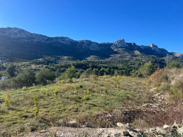 Terreno en venta en la Marina Alta, Valencia