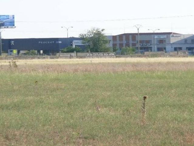 Terreno en venta en Campo Grande, Valladolid