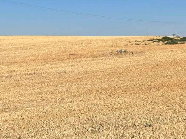 Terreno en venta en Valladolid, El Berrocal