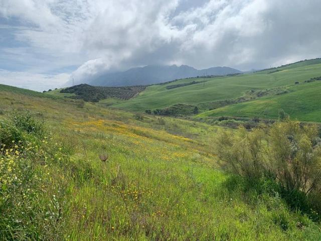 Terreno en venta en Valle del Guadalhorce, Andalucía