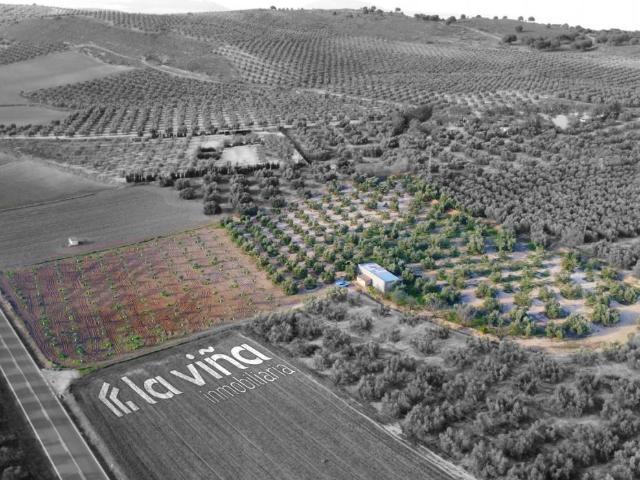 Terreno en venta en Valle De Abdalajís
