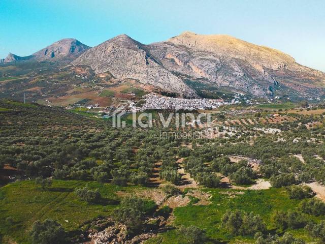 Terreno en venta en Valle De Abdalajís