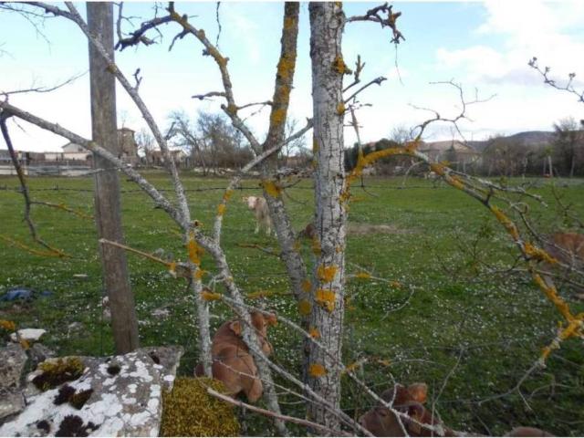 Terreno en venta en Valle De Losa, Castilla y León