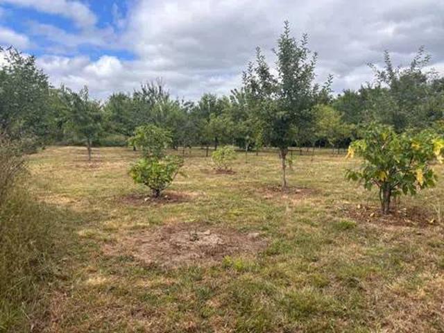 Terreno en venta en Villasana de Mena, Valle De Mena
