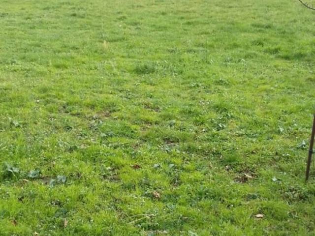 Terreno en venta en Valle De Mena, Castilla y León