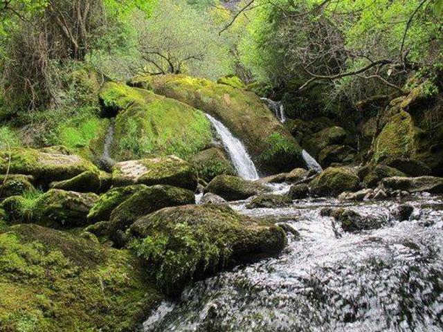 Terreno en venta en Valle De Mena, Castilla y León