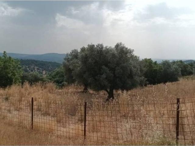 Terreno en venta en Sierra Suroeste, Extremadura