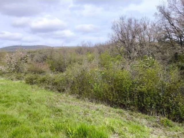Terreno en venta en Valle De Tobalina, Castilla y León