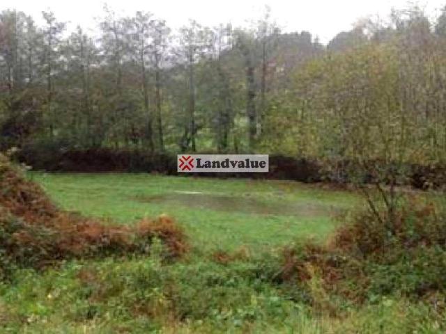 Terreno en venta en Valle De Villaverde, Cantabria