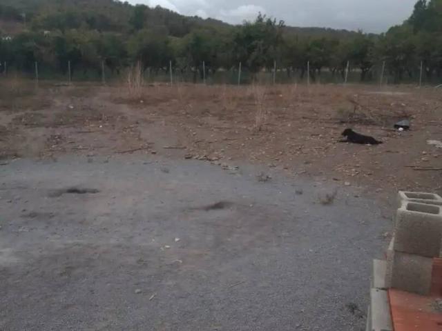 Terreno en venta en Comarca de Guadix, Andalucía