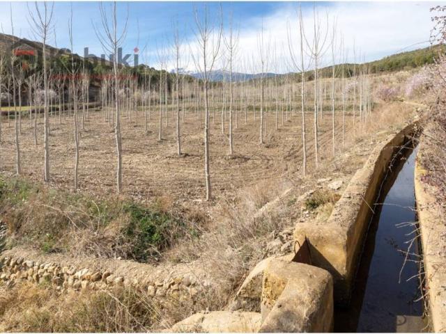 Terreno en venta en Comarca de Guadix, Andalucía