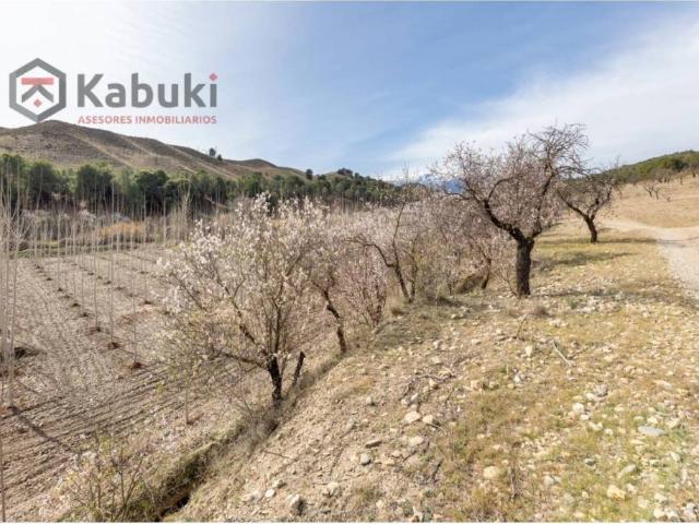 Terreno en venta en Comarca de Guadix, Andalucía