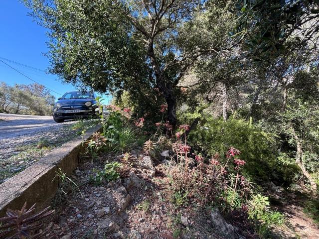 Terreno en venta en El Palou, Garraf