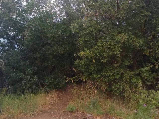 Terreno en venta en Baronía del Montseny, Vallès Oriental