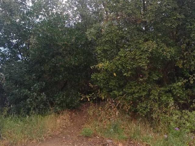 Terreno en venta en Baronía del Montseny, Vallès Oriental