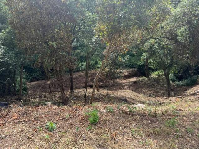 Terreno en venta en Vallès Oriental, Catalunya