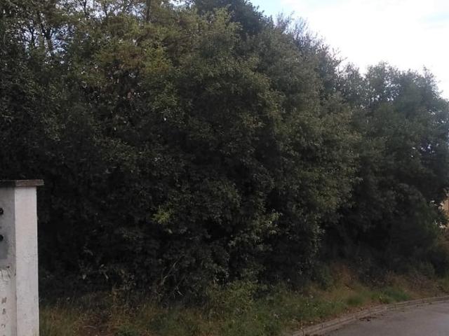 Terreno en venta en Vallès Oriental, Catalunya