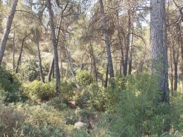 Terreno en venta en Baix Llobregat, Catalunya