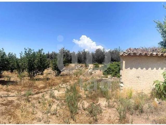 Terreno en venta en Vallmoll