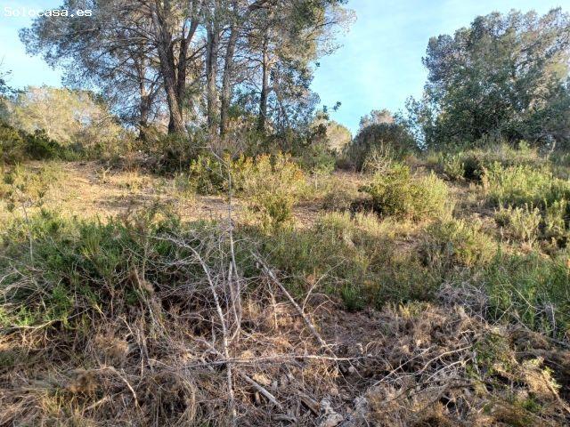 Terreno en venta en Alt Camp, Catalunya