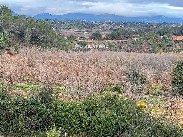 Terreno en venta en Alt Camp, Catalunya