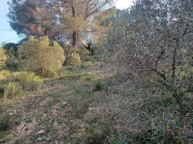 Terreno en venta en Alt Camp, Catalunya