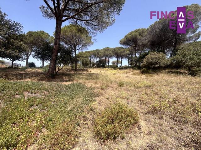 Terreno en venta en Vallès Oriental, Catalunya