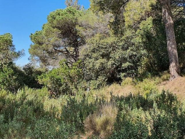 Terreno en venta en Vallès Oriental, Catalunya