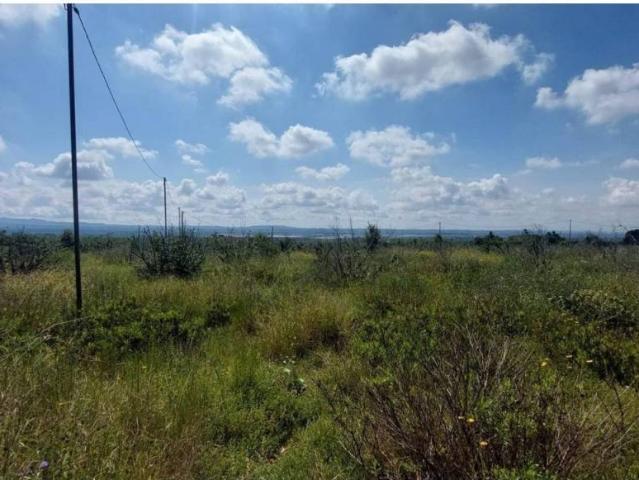 Terreno en venta en Alt Camp, Catalunya
