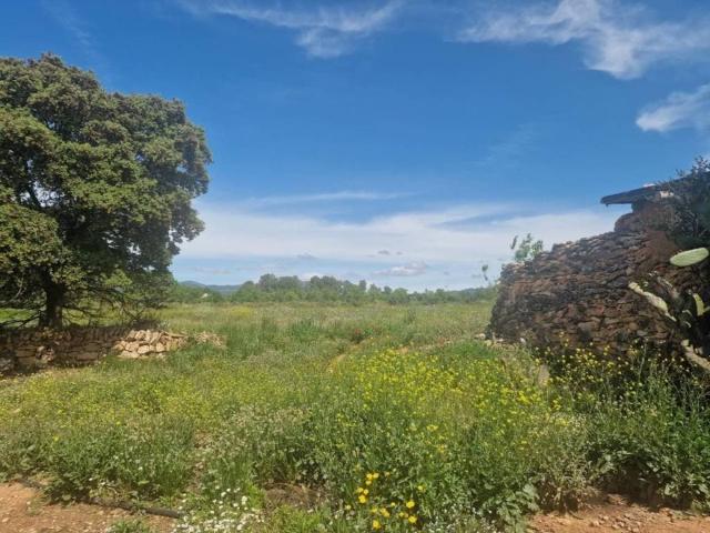 Terreno en venta en Alt Camp, Catalunya
