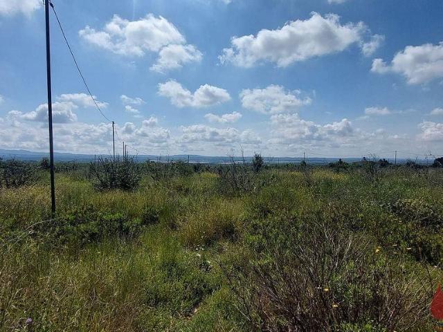 Terreno en venta en Alt Camp, Catalunya
