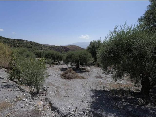 Terreno en venta en Comarca de la Alpujarra Granadina, Andalucía